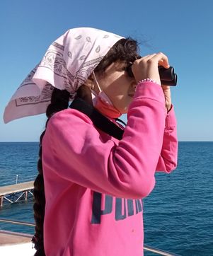 Junior Marine Mammal Observer