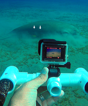 Underwater Laser Photogrammetry