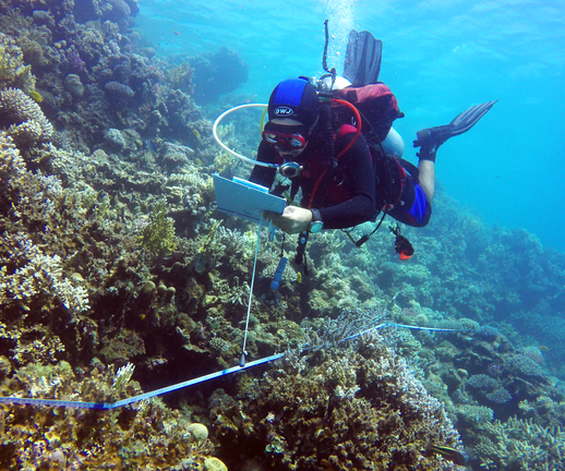Reef Check EcoDivers